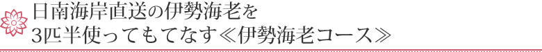 日南海岸直送の伊勢海老を3匹半使ってもてなす≪伊勢海老コース≫